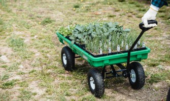 Discover the Power of Organic Products: How Agricook.it Supports Your Wellbeing and Local Economies